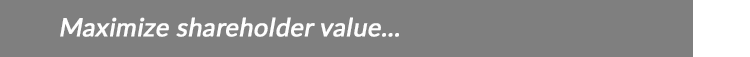 Maximize shareholder value...